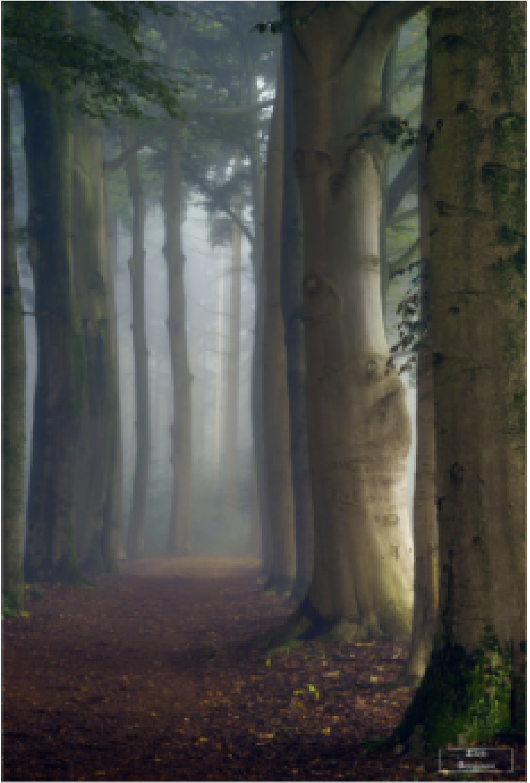 Less memorable image