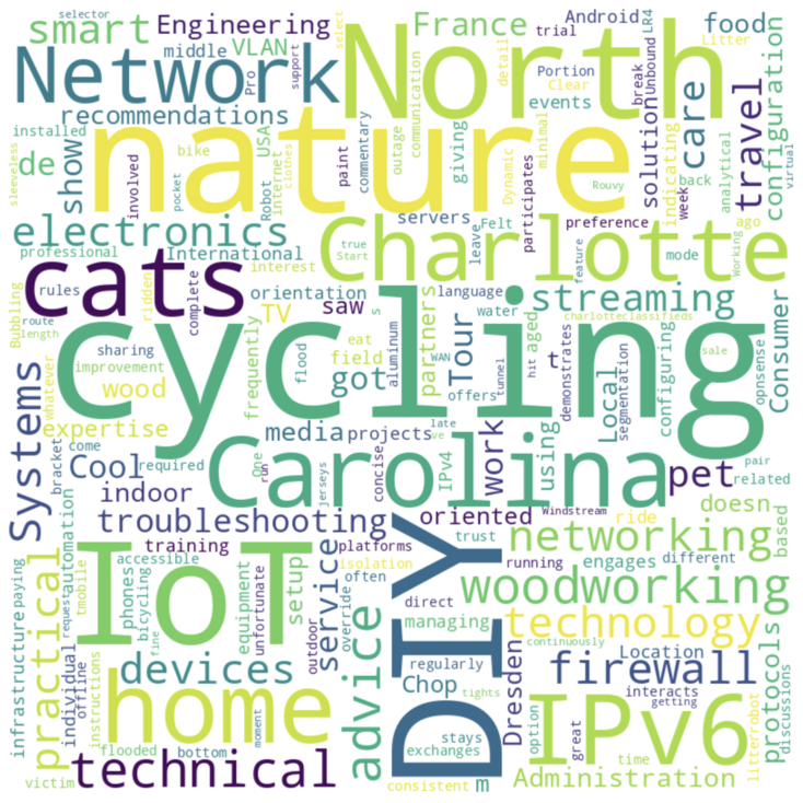 Persona word cloud